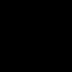 Meet your Posher, Griselda